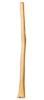 Natural Finish Didgeridoo (TW838)